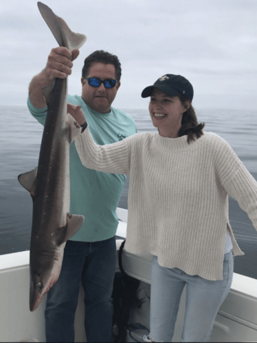Shark Adventure- 32' Albermarle in Clearwater