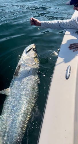 Tarpon Trip - 22' Pathfinder In Miami Beach