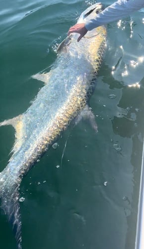 Tarpon Trip - 22' Pathfinder in Miami Beach