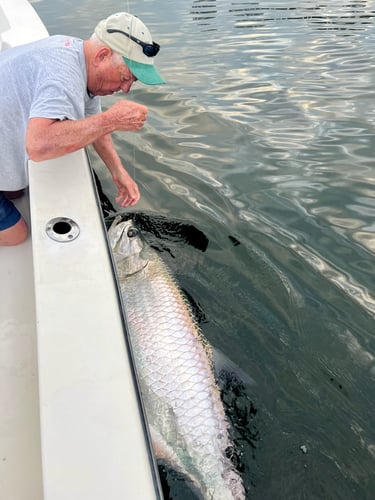 Tarpon Trip - 22' Pathfinder In Miami Beach