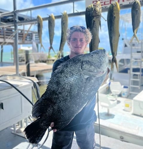 Reef Thrill In Islamorada