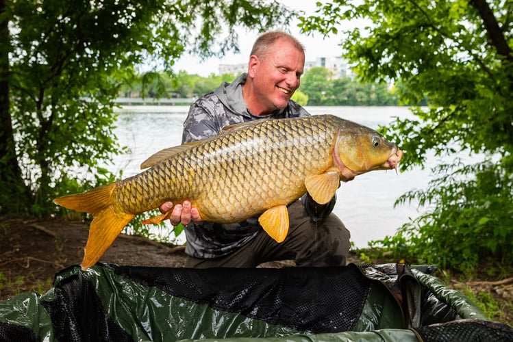 Euro Carp Trip - Austin, TX In Austin