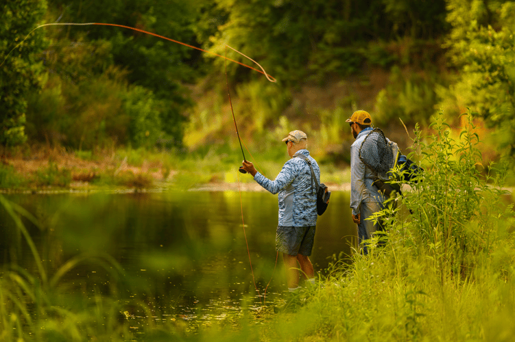 Carp On The Fly - Austin, TX in Austin