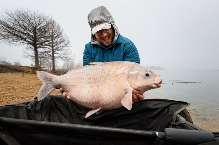 Euro Carp Trip - Austin, TX in Austin