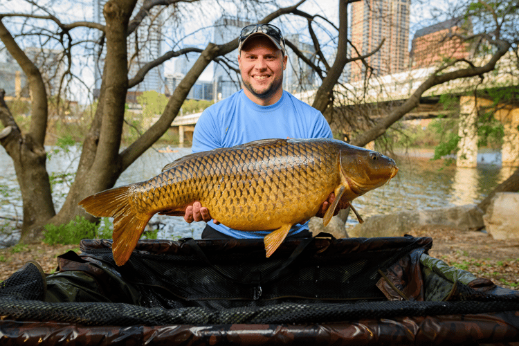 Euro Carp Trip - Austin, TX In Austin