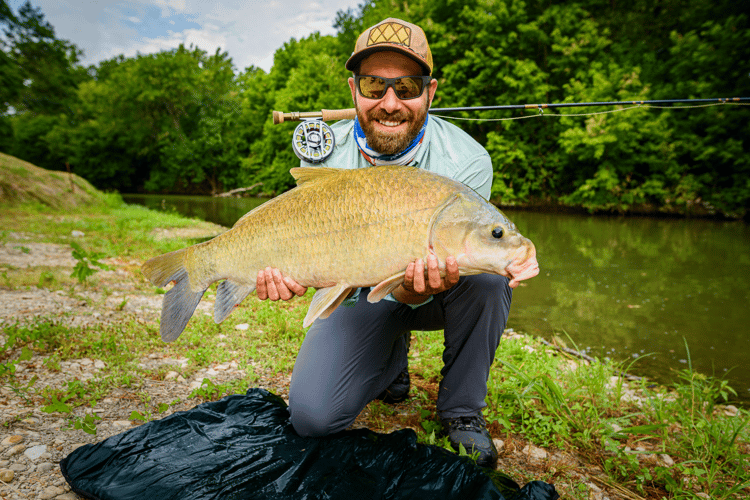 Carp On The Fly - Austin, TX In Austin