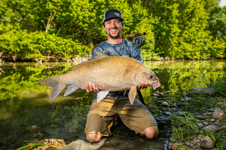 Carp On The Fly - Austin, TX In Austin