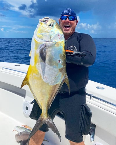 Blue Water Freedive Spearfishing in Islamorada