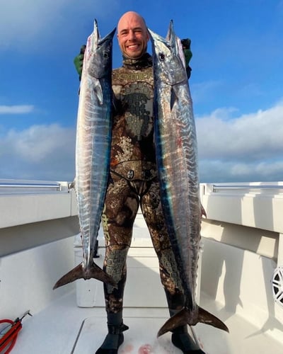 Blue Water Freedive Spearfishing in Islamorada