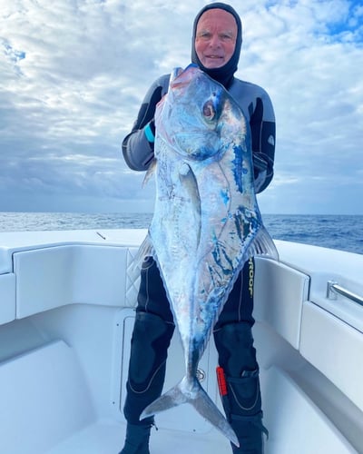 Blue Water Freedive Spearfishing in Islamorada