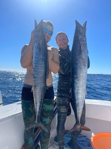 Blue Water Freedive Spearfishing in Islamorada