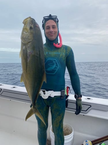 Blue Water Freedive Spearfishing in Islamorada