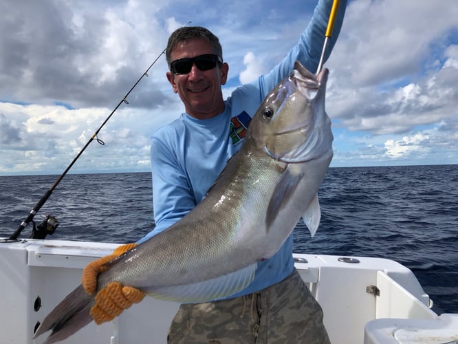 Full Day or Half Day Trip in Islamorada