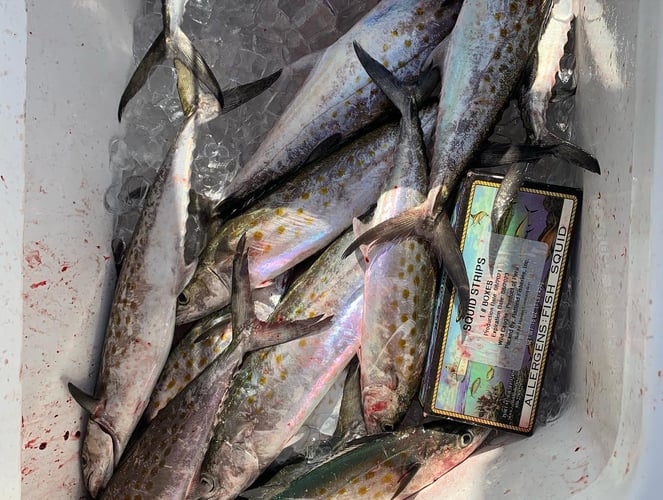 Destin Bay Fishing - 20' Carolina Skiff