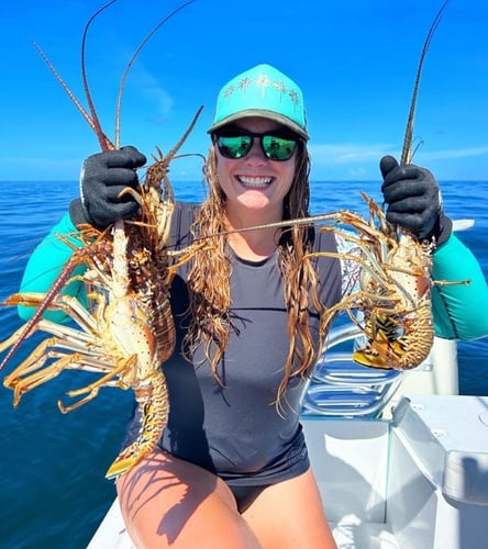 Florida Keys Lobster Quest In Islamorada