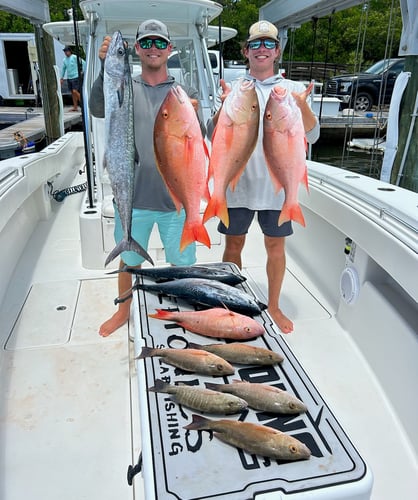 Reef Frenzy In Islamorada