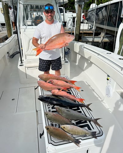 Reef Frenzy In Islamorada