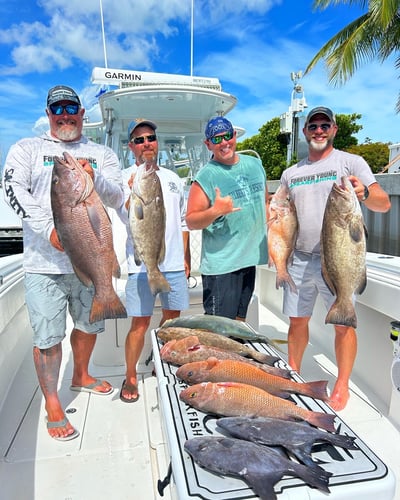 Reef Frenzy In Islamorada