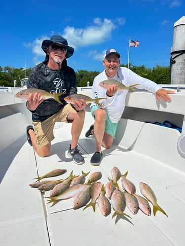 Reef Frenzy In Islamorada