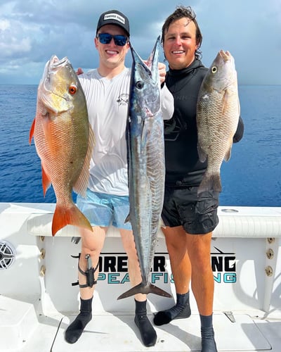 Reef Frenzy In Islamorada