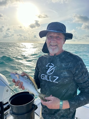 Reef Frenzy In Islamorada