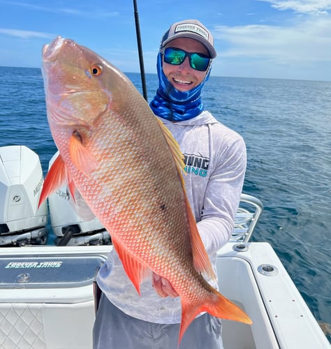 Reef Frenzy In Islamorada