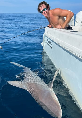 Reef Frenzy In Islamorada