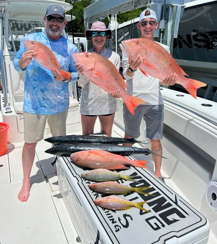 Reef Frenzy In Islamorada