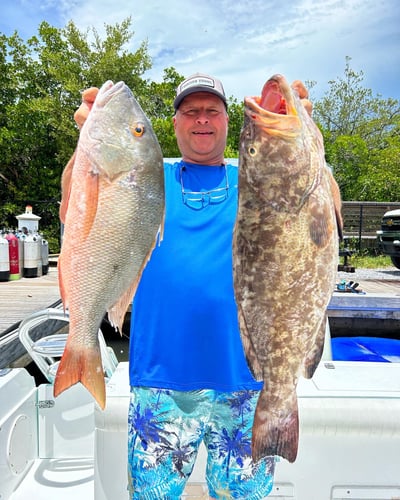 Reef Frenzy In Islamorada