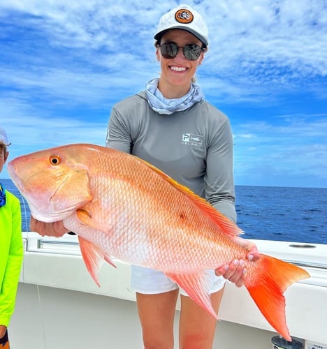 Reef Frenzy In Islamorada