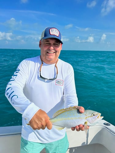 Reef Frenzy In Islamorada