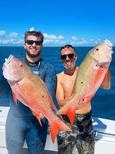 Reef Frenzy In Islamorada