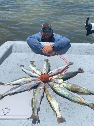 Island Angler's Delight In Corpus Christi