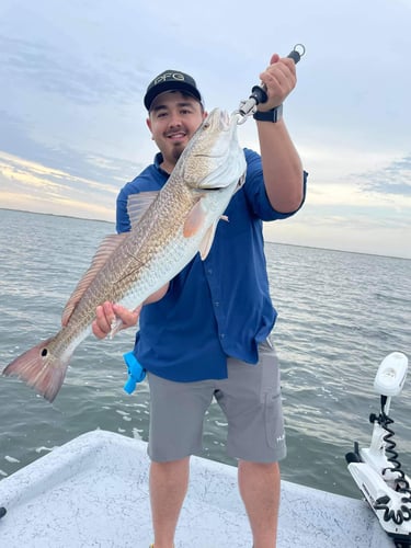 Island Angler's Delight In Corpus Christi