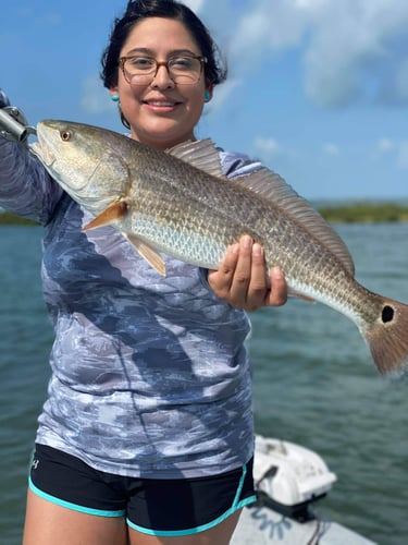 Island Angler's Delight In Corpus Christi