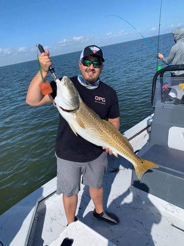 Island Angler's Delight In Corpus Christi