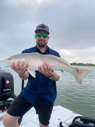 Island Angler's Delight In Corpus Christi