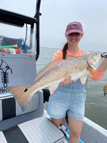 Island Angler's Delight In Corpus Christi