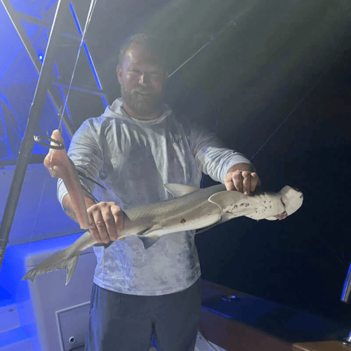 Sunset Shark & Tarpon Thrills In Key Largo