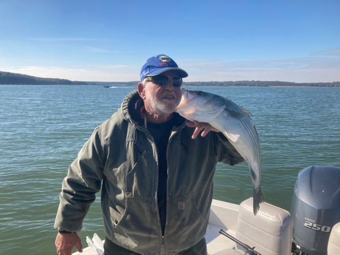 Half Day Bass (AM or PM) in Pottsboro