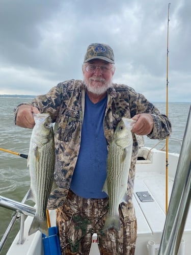 Half Day Bass (AM or PM) in Pottsboro