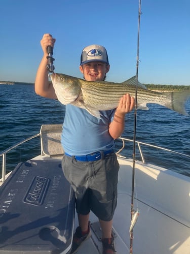 Half Day Bass (AM or PM) in Pottsboro