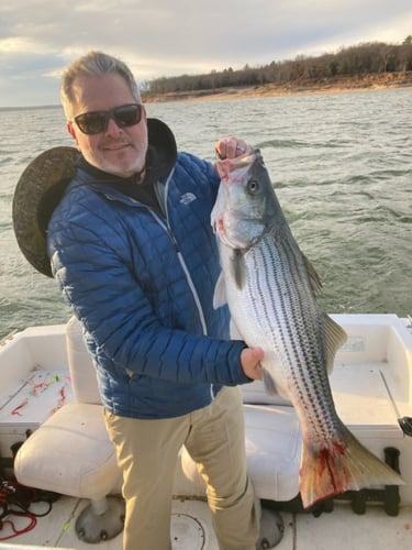 Half Day Bass (AM or PM) in Pottsboro