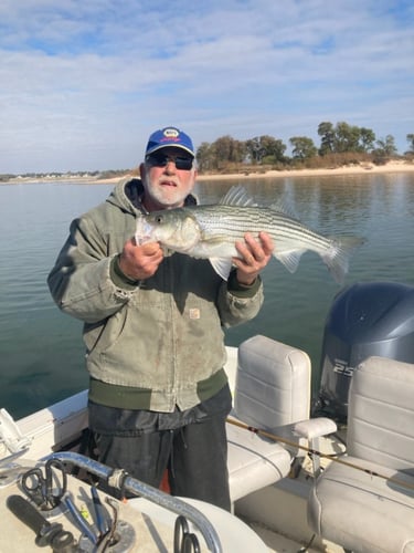 Half Day Bass (AM or PM) in Pottsboro