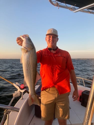 Half Day Bass (AM or PM) in Pottsboro