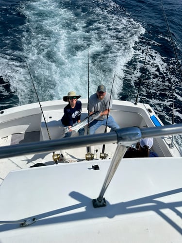 3/4 Or Half Day Offshore In Miami