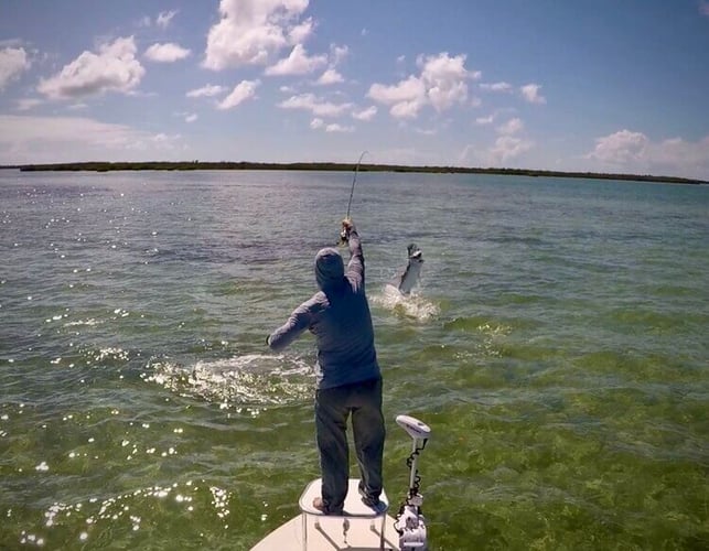 Key Largo Fly Fishing The Flats In Key Largo