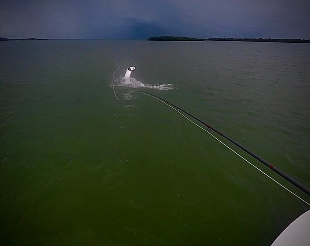 Islamorada Fly Fishing the Flats in Islamorada