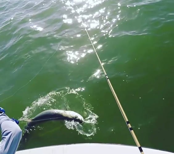Islamorada Fly Fishing the Flats in Islamorada