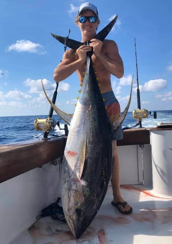 Premier Destin Fishing - 60’ Blackwell in Destin